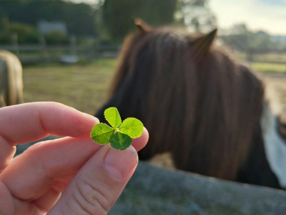 20250910_083534 20250910_083534