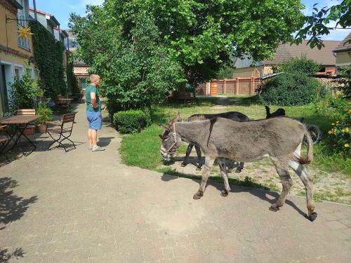 20250808_144212 20250808_144212