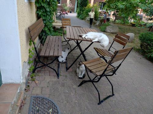 20250826_183032 20250826_183032