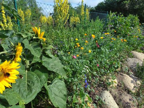 20250710_083430 20250710_083430