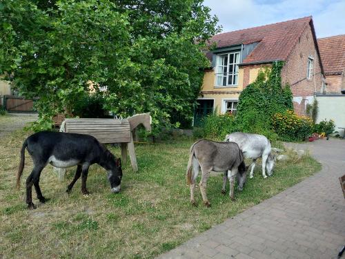 20250710_084735 20250710_084735