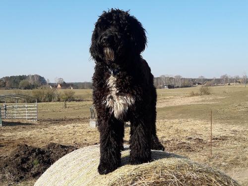 20220323_090656 20220323_090656