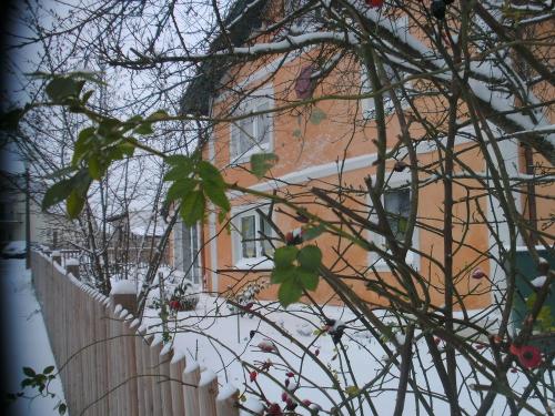 Haus im Winter