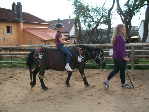 Geführtes Reiten