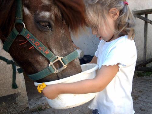 Sarah füttern größe für blauen Gockel