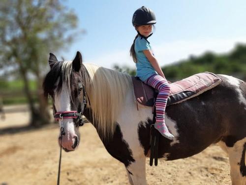 Texas und Amy scharf