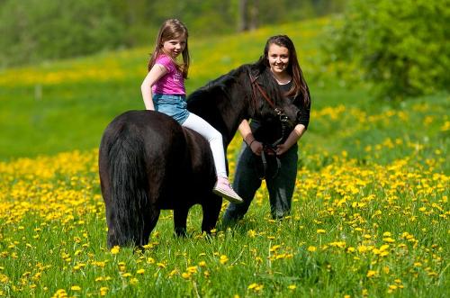 Reiten