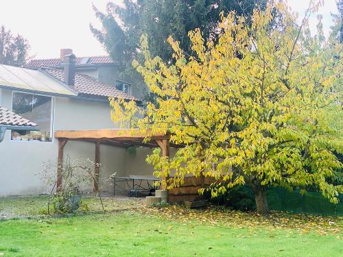 Im Garten