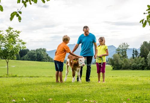 Familien & Tiere
