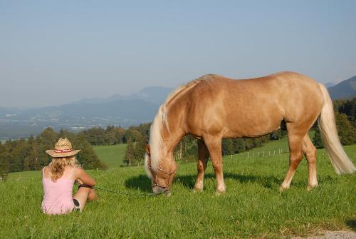 Entspannung im Gras