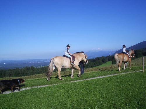 Reiterglück