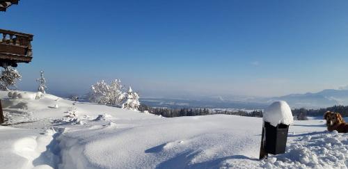 img-20191112-wa0004
