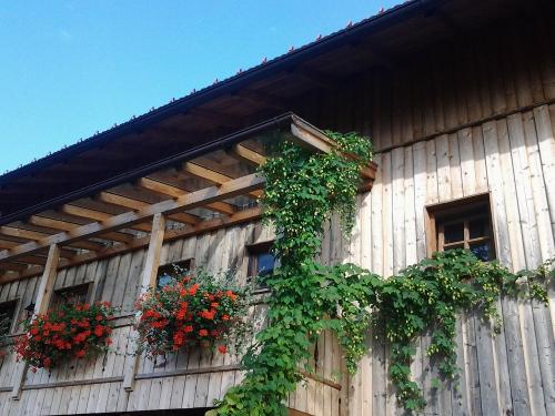 Balkon FeWo