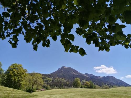 Breitenstein