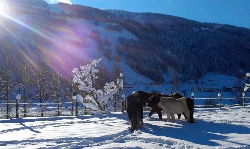 winterfreuden_ausschnitt_1951x1166