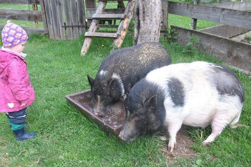 Mathilda und Frieda beim Abendessen