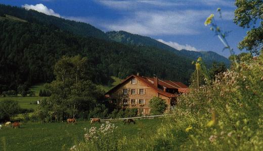 Der Risthof