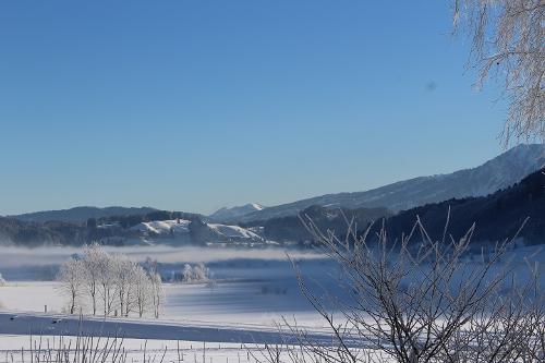 Blick aus der Ferienwohnung im Winter