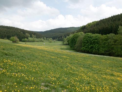 Tal am Ferienhaus Tal am Ferienhaus