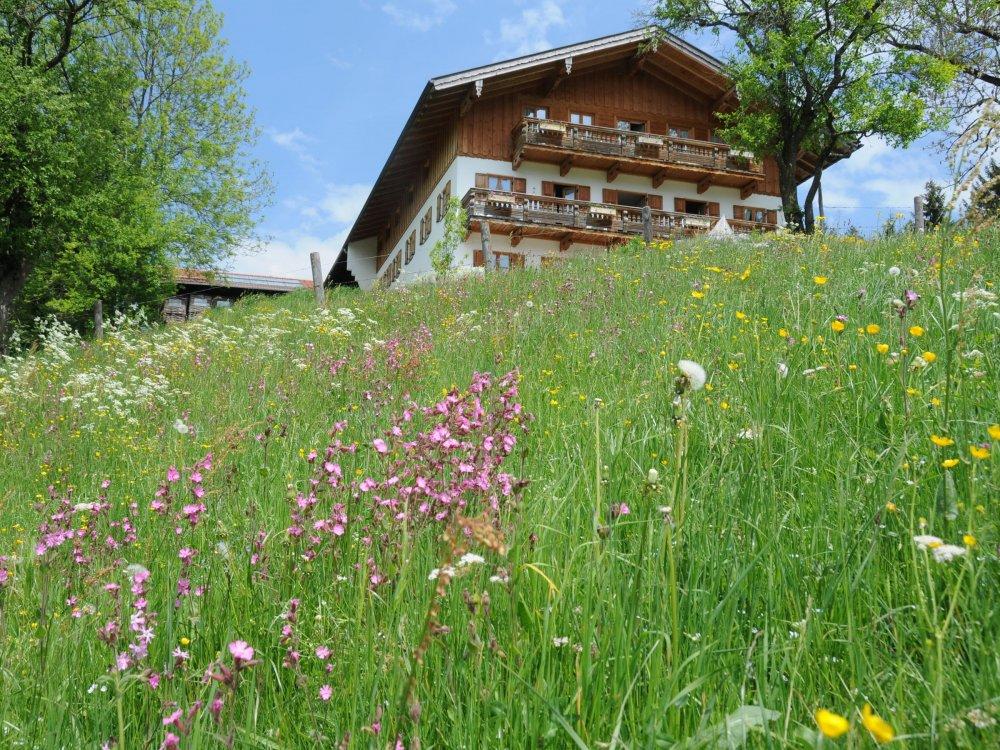 110511_Schmotz_Ferienwohnungen_0291