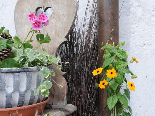 110511_schmotz_ferienwohnungen_0193