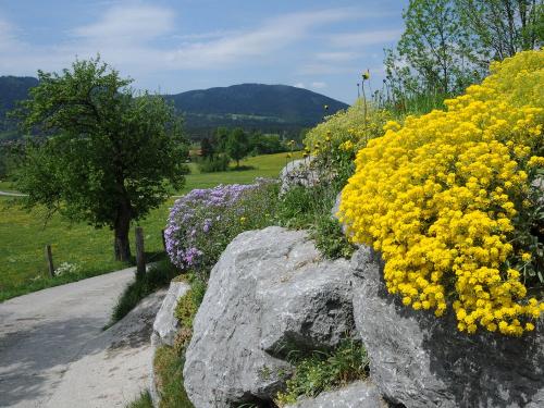 110511_Schmotz_Ferienwohnungen_0303