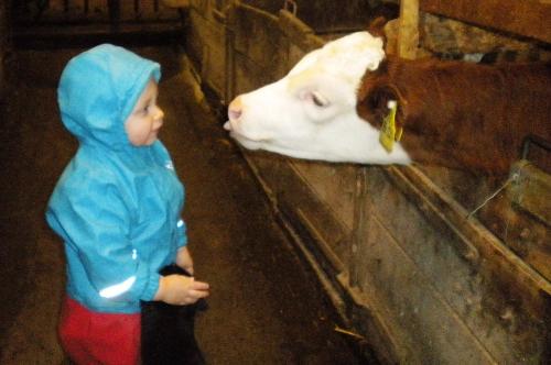 Besuch im Stall