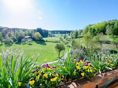 fixenhof-mhlenbach-kinzigtal-schwarzwald-stk-10