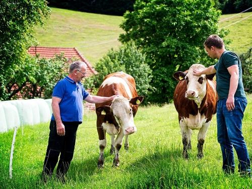 Tiere-auf-dem-Fixenhof