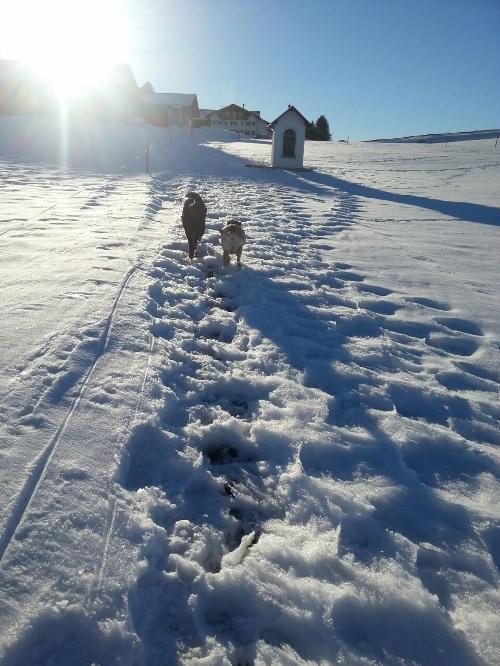 Winterspaziergang