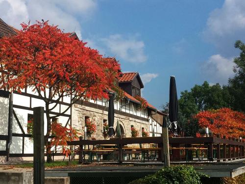 Herbstimpressionen