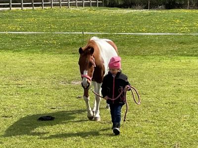 Reiterhof Lausen in Stangheck Ponykoppel