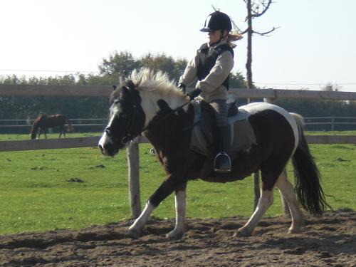 Unser Pony Merlin