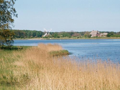 Naturschutzgebiet Geltinger Birk