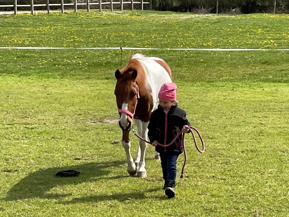 Reiterhof Lausen in Stangheck Ponykoppel