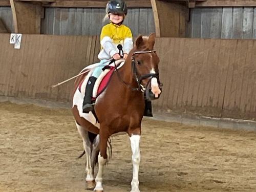 Reiterhof Lausen in Stangheck