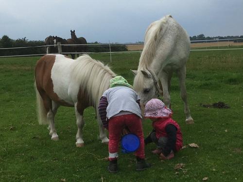 Reiterhof Lausen Stangheck