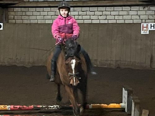 Reiterhof Lausen Sammi