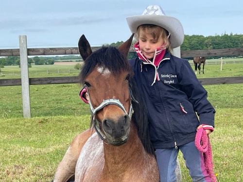 Reiterhof Lausen - unser Henri