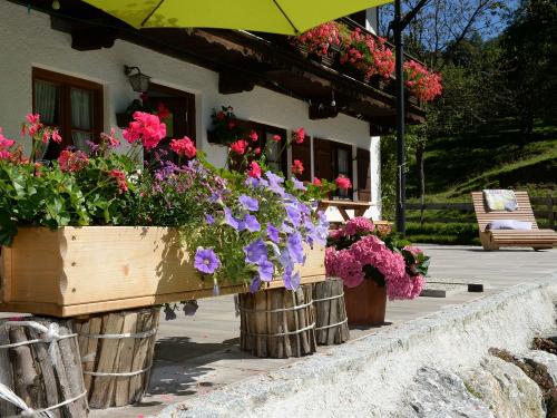 160825_aussenaufnahmen_summerers_0018 160825_aussenaufnahmen_summerers_0018