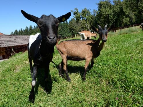 160825_aussenaufnahmen_summerers_0067 160825_aussenaufnahmen_summerers_0067