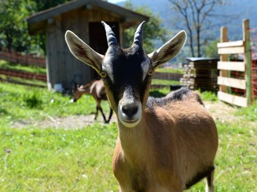 160825_aussenaufnahmen_summerers_0089 160825_aussenaufnahmen_summerers_0089