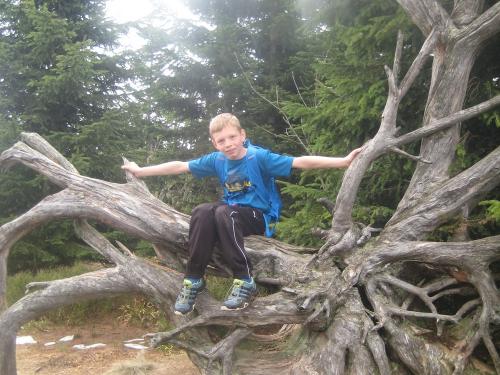 Der Natur ganz nah