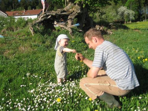 Die Natur entdecken