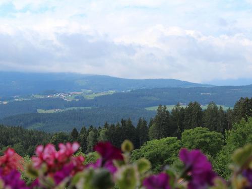 Balkonwohnung Ausblick