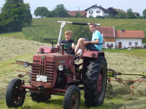 Heu wenden