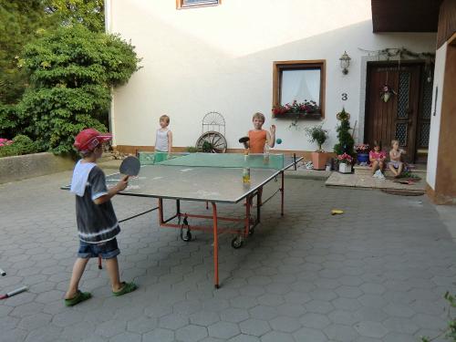 Jungs beim Tischtennis