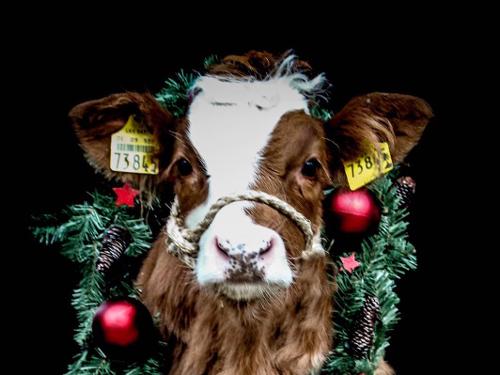 04b32d02-ee4e-4d92-bf13-843c984e6167