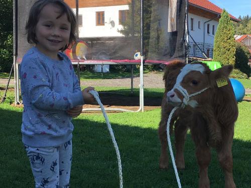 2003a243-a68f-4127-b86f-99bee1324d63