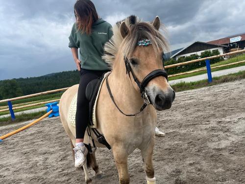 025a1190-24be-4016-8a6e-af5c39a6810e